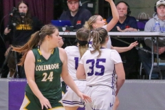 4X3A1424-Shirley-Nickles-Groveton-vs-Colebrook-girls