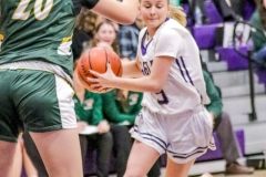 IMG_2372-Groveton-vs-Colebrook-girls-QF