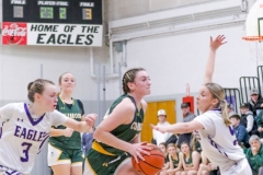 IMG_2570-Groveton-vs-Colebrook-girls-QF