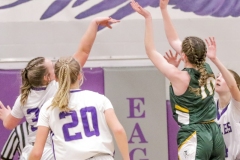 IMG_2667-Groveton-vs-Colebrook-girls-QF