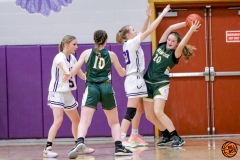 IMG_2791-Groveton-vs-Colebrook-girls-QF