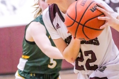 IMG_3360-Shirley-Nickles-Littleton-vs-Colebrook-girls