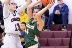 IMG_3447-Shirley-Nickles-Littleton-vs-Colebrook-girls