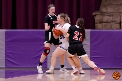 IMG_1424-Shirley-Nickles-H-Groveton-vs-newmarket-girls