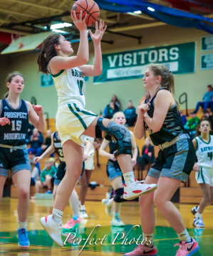 Rams Basketball